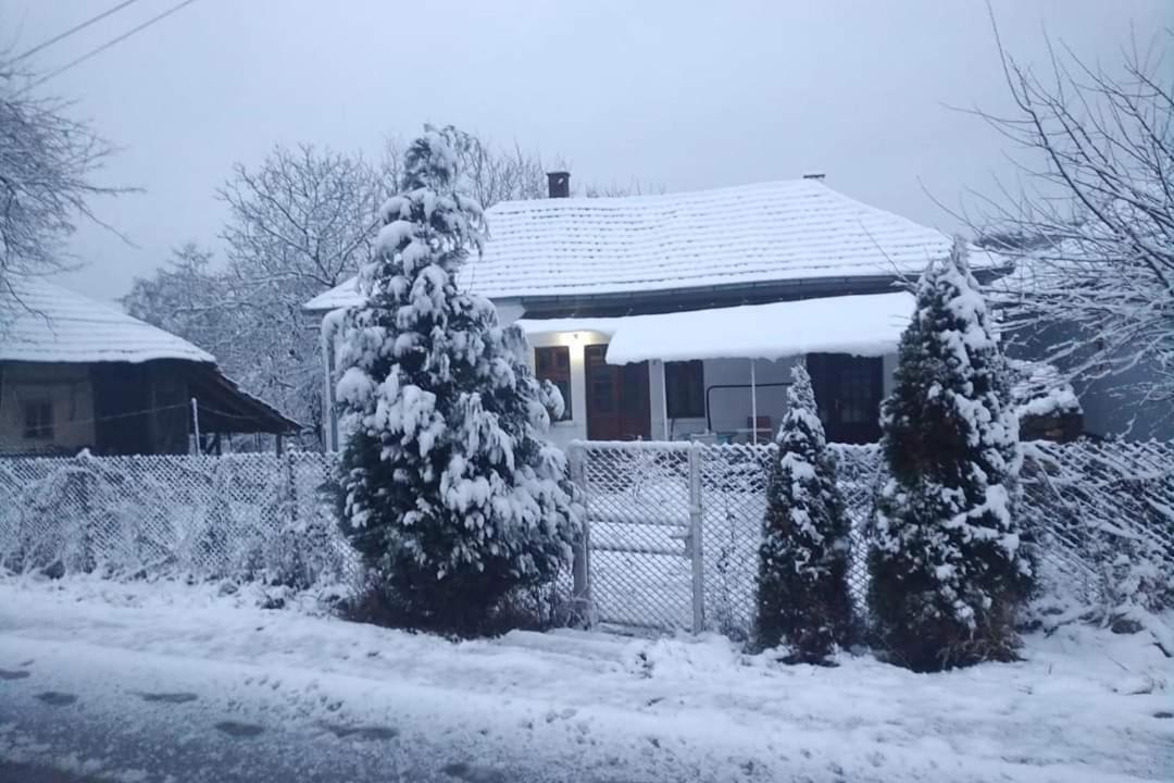 Apartmani Lina Ribarska Banja Exterior foto